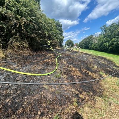 FW-EN: Wiese brennt am Wiggers - Feuer droht auf Wald überzugreifen