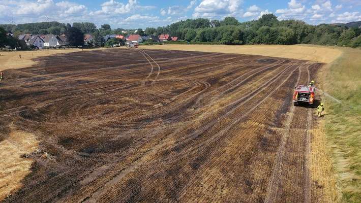 FW-DT: Vegetationsbrand - Übergreifen auf Wald verhindert