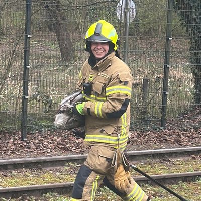 FW Paderborn: Feuerwehr Paderborn rettet Schwan aus Gleisbereich - Lebensgefahr oft unterschätzt.