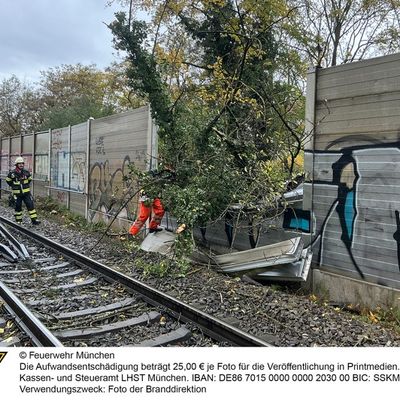 FW-M: Regionalzug kollidiert mit Baum (Giesing)